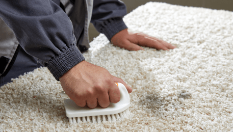 Professional Rug Cleaning Lower Plenty